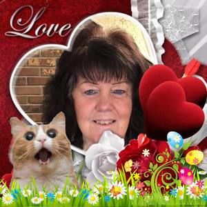 Meet your Posher, Donna